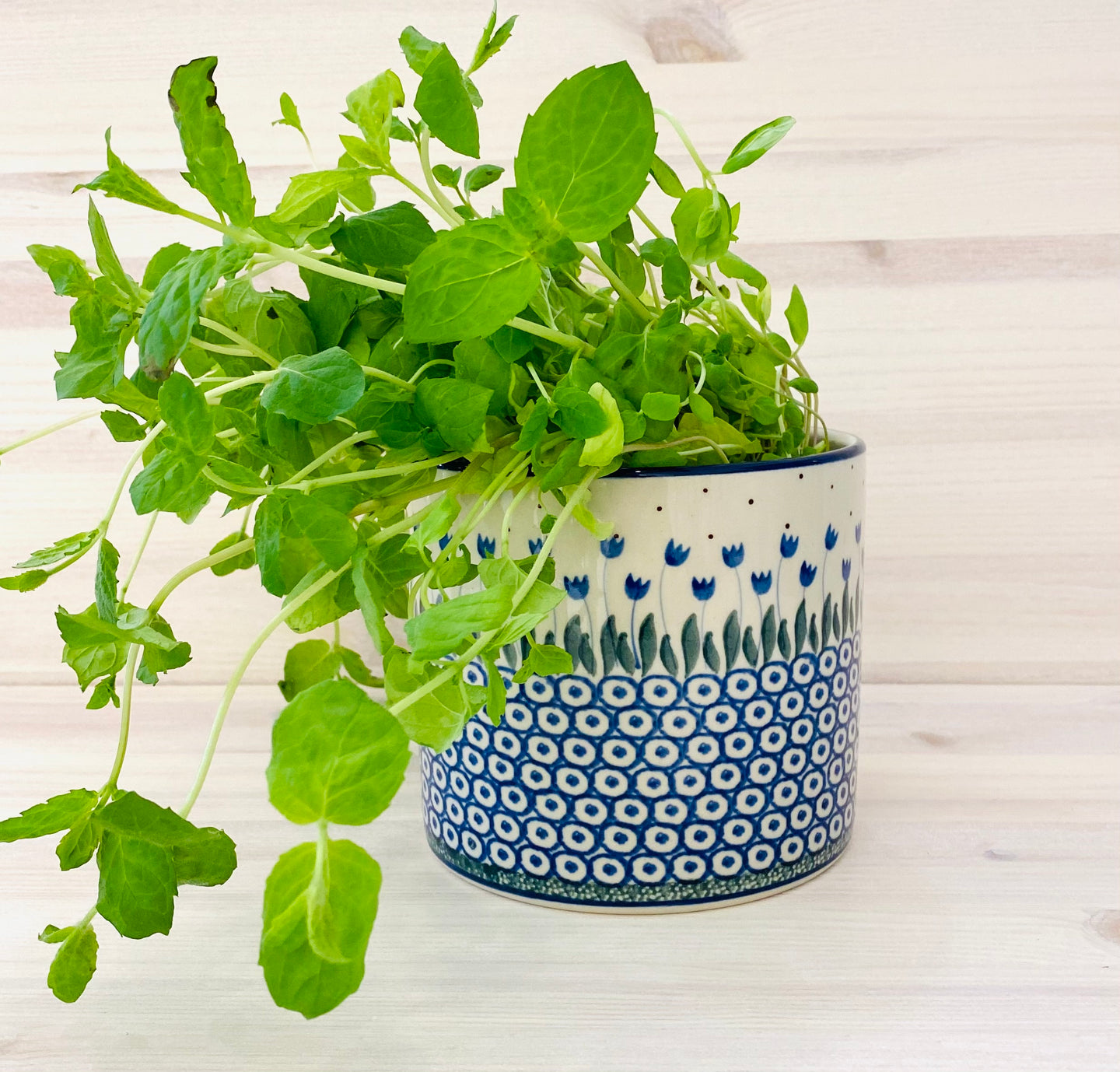 RUUKKU ⌀ 13,5cm, k 12cm - EUCALYPTUS