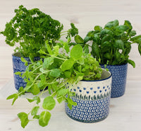 RUUKKU ⌀ 13,5cm, k 12cm - EUCALYPTUS